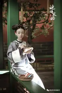 于正新剧延禧攻略曝剧照还原乾隆盛世