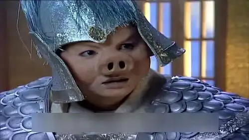春光灿烂猪八戒嫦娥留下书信,离宫出走,八戒失恋痛哭
