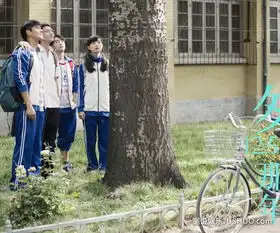 匆匆郑恺痴情少年感动依旧