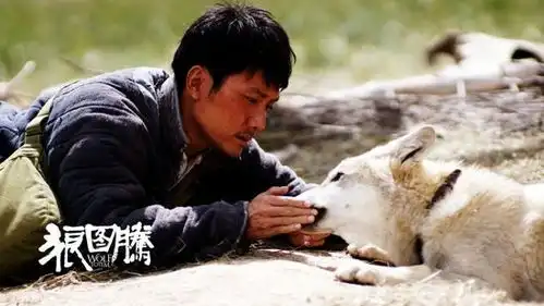 狼图腾年初一上映冯绍峰与小狼命运相连