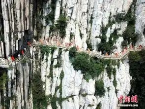 少林小子与瑜伽爱好者绝壁施展功夫瑜伽