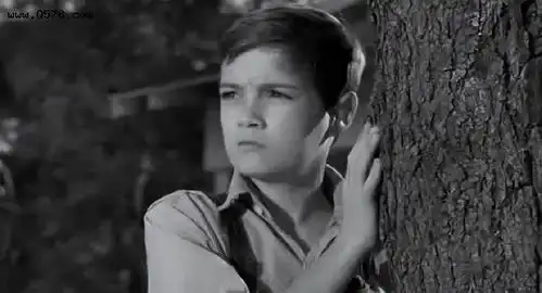 杀死一只知更鸟替一个黑人辩护,白人父亲想教给孩子什么
