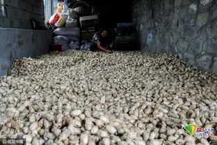 图片故事七旬老人蜗居山里为儿孙守财