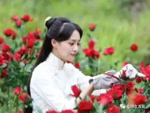 郑爽马天宇cp感十足,这样的爽妹子你见过么