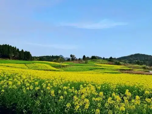 闻香识女人岁月静好,静待花开张丽萍的世外桃源
