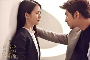 杜拉拉五年后变追婚达人回归教你如何玩转情场与职场
