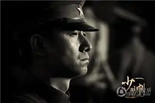 少帅张学良被囚禁是第几集张学良为什么遭囚禁原因揭秘