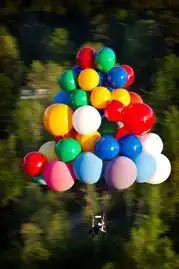 现实版飞屋环游记