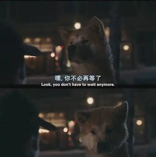 致2020下半年生命中所有的失去,都会以另一种方式归来