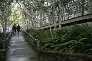 约翰金景观设计师看到了创造的发展与进化
