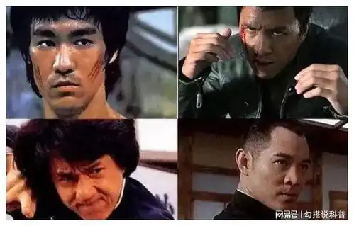 这是我听过关于李小龙成龙李连杰和甄子丹功夫片最好的点评
