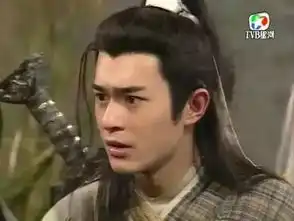 香港再无渣渣辉
