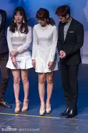 那年冬天风在吹最养眼主演阵容宋慧乔赵仁成金范郑恩地亮相发布会组图