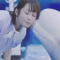 情侣头像蜜汁炖鱿鱼