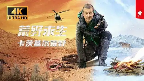 贝爷卡茨基尔荒野求生,地龙炒坤蛋,带迷弟野外生存
