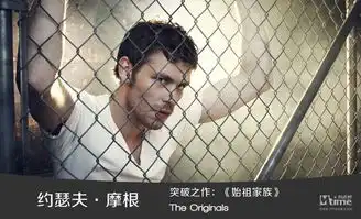 小荧屏开启偶像时代2013英美电视圈新人王
