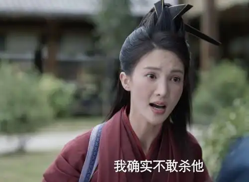 庆余年2成爆款,叶灵儿却被骂,原来大家都错怪金晨了
