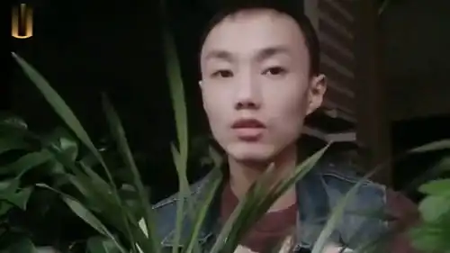 建兰黄金小神童今年又快开花了,养兰花越来越容易了