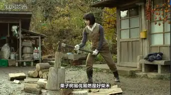 小森林日本美食firstdish糖渍板栗
