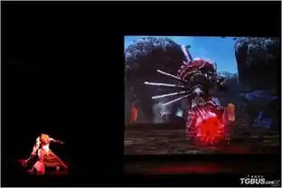 梦幻之星在线2舞台剧开演现场大量剧照
