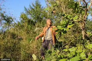 老人蜗居山中一个月为儿孙守财
