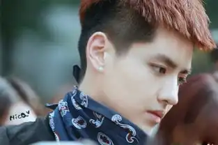 朴有天鹿晗金秀贤吴亦凡tfboys李易峰女生最爱的中韩男神大盘点图