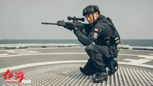 预售中蛟龙突击队共赴险境一起扛红海行动中国海军接你回家