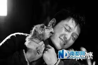 折腾十年,狼明星们终于奉上史诗级的狼马大战