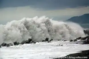 奋进大雄业二零一零年重阳节感