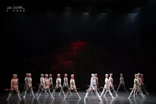 大雨也阻挡不了观众的热情,闪闪的红星广州首演感动全场
