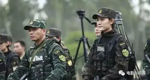 热播神剧利刃出击