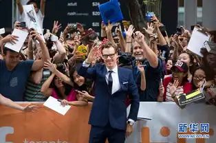 2014年多伦多国际电影节上的名导与明星高清组图