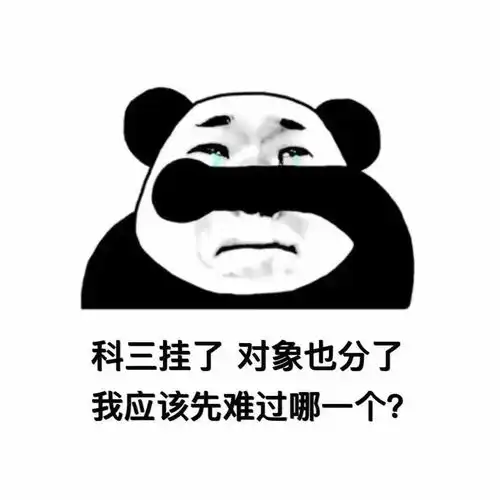 今日份热门表情包