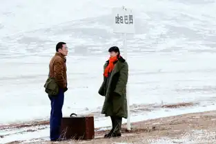 王力可挺大肚出镜网友直呼自毁形象