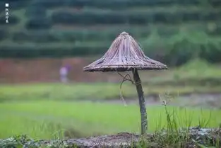南靖土楼旅行宝典仲夏夜之梦
