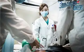 组图急诊科医生收官在即高晓菲遇爱情终获美满