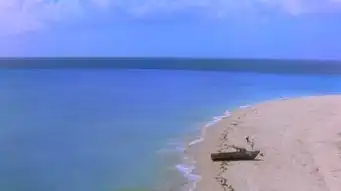 肖申克的救赎监狱关住的只是身体,而不是灵魂
