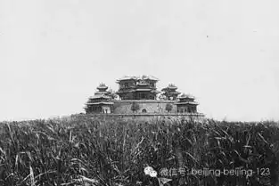 颐和园里的秘密终于天下大白了玄机重重
