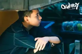 老男孩人物剧照首发刘烨林依晨一路同行