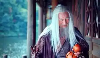 金庸笔下人物名字的出处阿朱阿紫出自论语