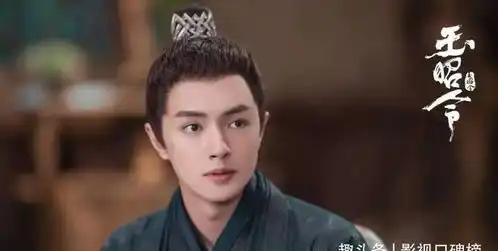 陈情令和山河令都火了,官鸿的玉昭令问题出在哪里