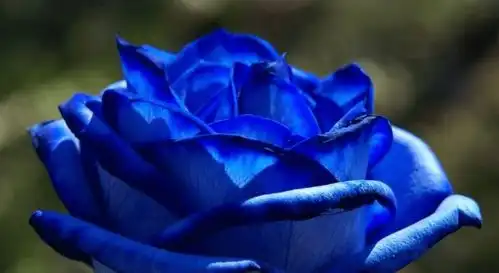 猴人你有一笔意料百万横财来了财神亲送给你,快接财
