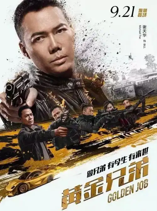 大午心理观影招募
