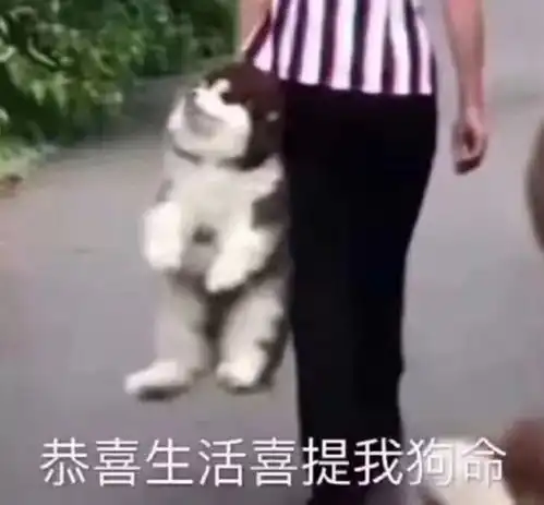 再上7天班,厦门人集体放假还有这4个好消息笑哭你尤其是最后一个......