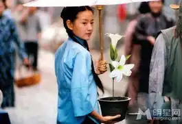 潘粤明董洁未离婚两人先后不雅情史被扒
