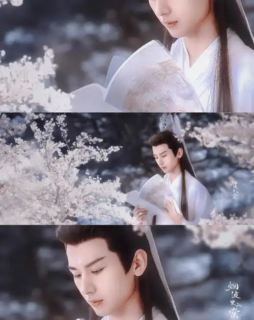落花时节又逢君和沉香如屑你更期待哪个播出
