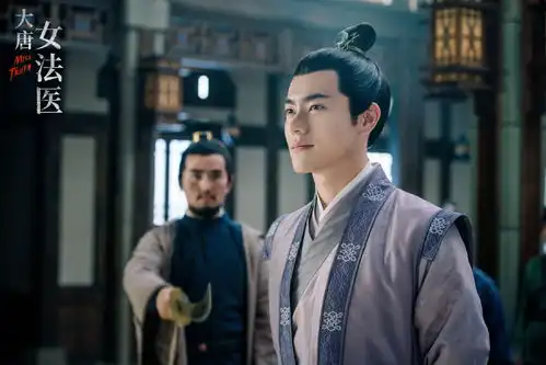 文武双全刑部侍郎,与掌握验尸绝学落魄贵女携手破案,并相知相爱
