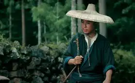 从英雄到武侠细说武侠电影十年之变异