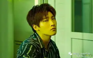 2017上半年蹿红的爆款明星,有你喜欢的吗
