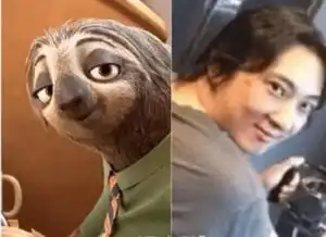 猫界的李荣浩爆红网友笑翻说根本就是李荣浩
